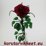 Tummanpunainen ruusu