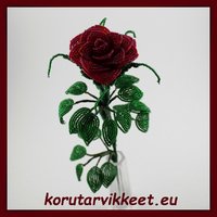 Tummanpunainen ruusu Preciosa siemenhelmistä