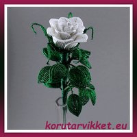 Valkoinen ruusu - helmikukka