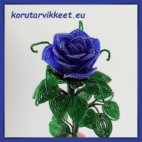 Helmikukka - sininen ruusu